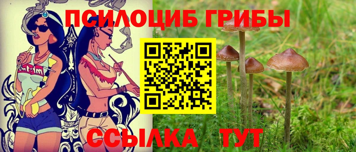 Псилоцибиновые грибы Cubensis Керчь
