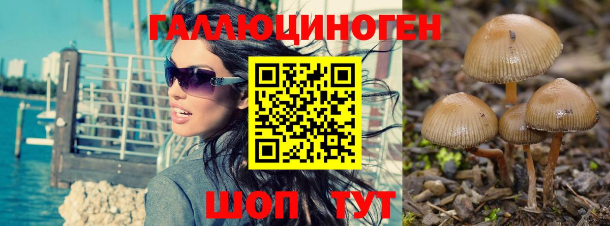 Псилоцибиновые грибы мухоморы  купить   Галлюциногенные грибы ЛСД  Керчь  Вход с VPN 